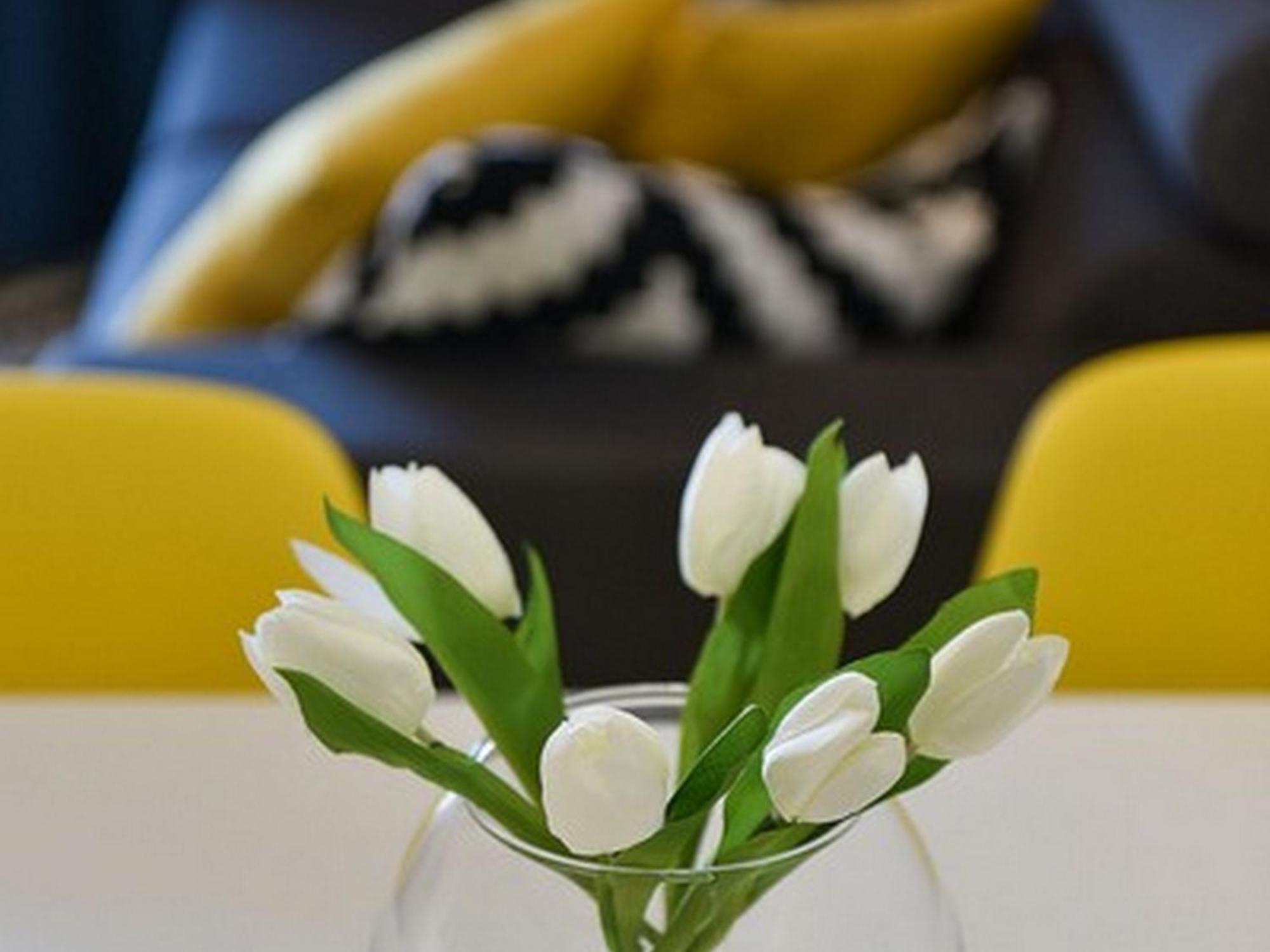 Mediterraneo Garden Apartments 佩特坎内 客房 照片